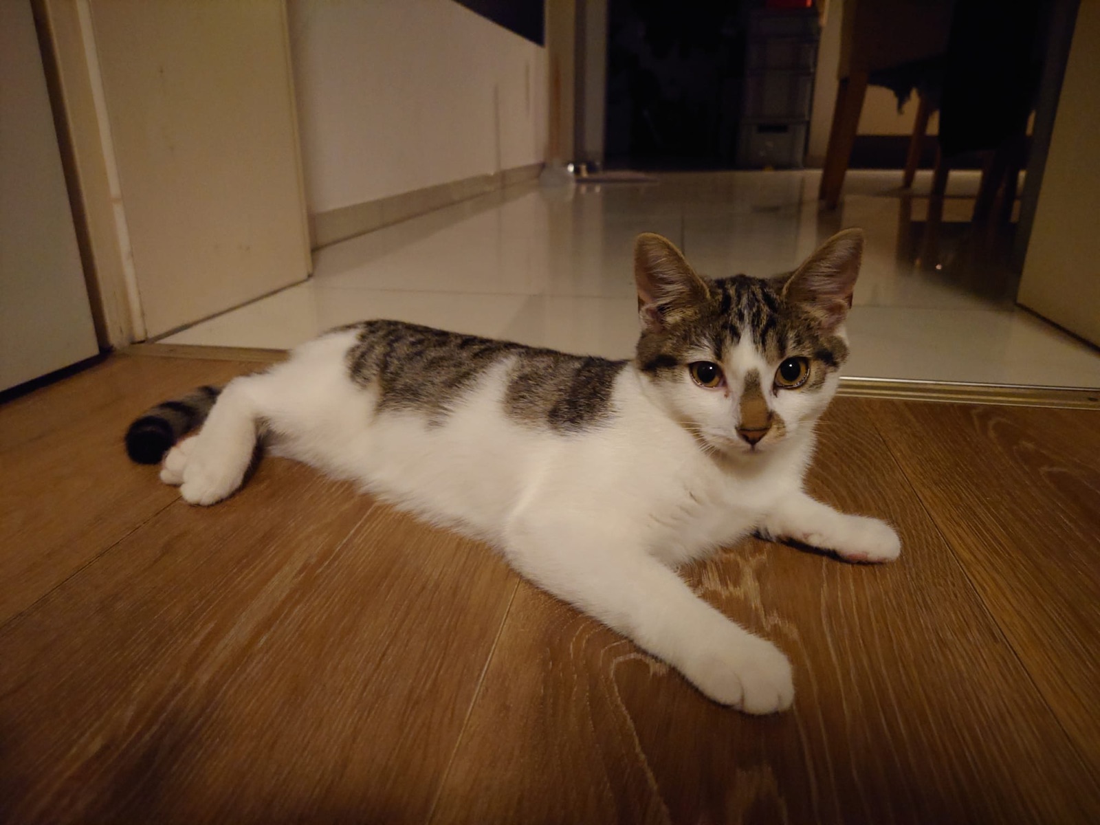 Kiri